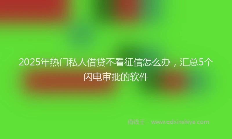 2025年热门私人借贷不看征信怎么办，汇总5个闪电审批的软件