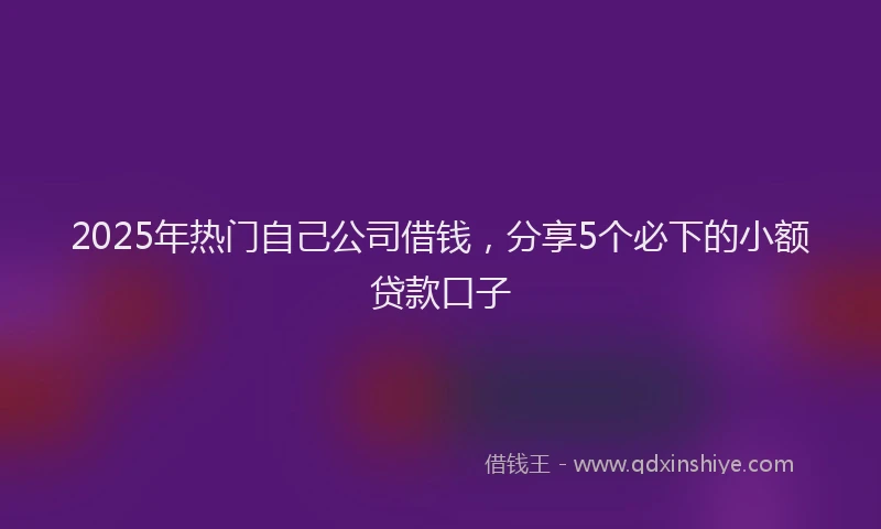 2025年热门自己公司借钱，分享5个必下的小额贷款口子
