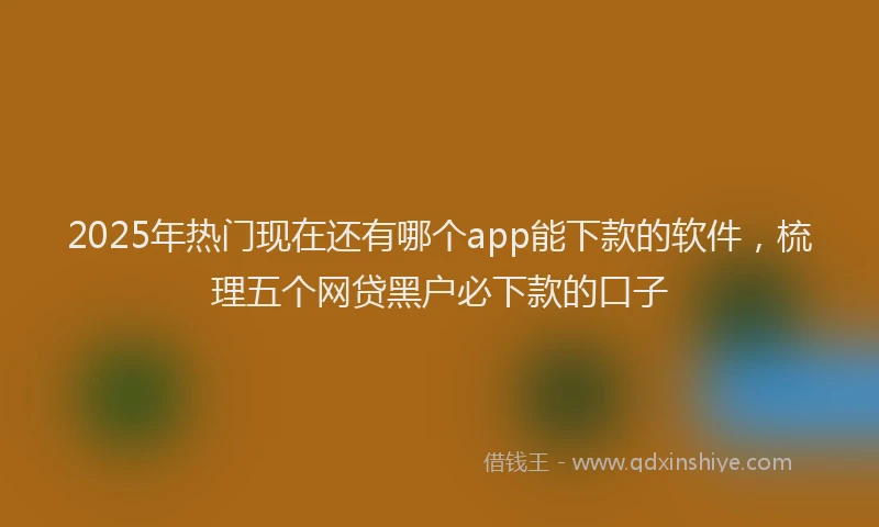 2025年热门现在还有哪个app能下款的软件，梳理五个网贷黑户必下款的口子