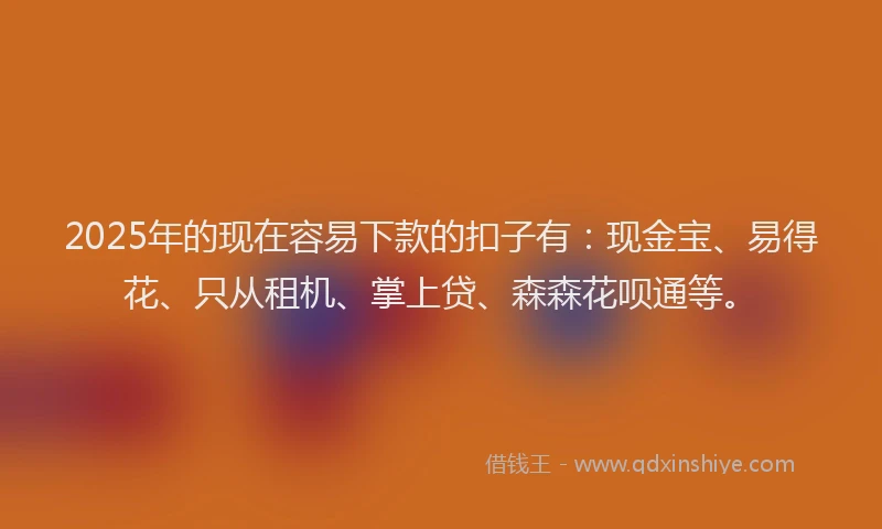 2025年的现在容易下款的扣子有：现金宝、易得花、只从租机、掌上贷、森森花呗通等。