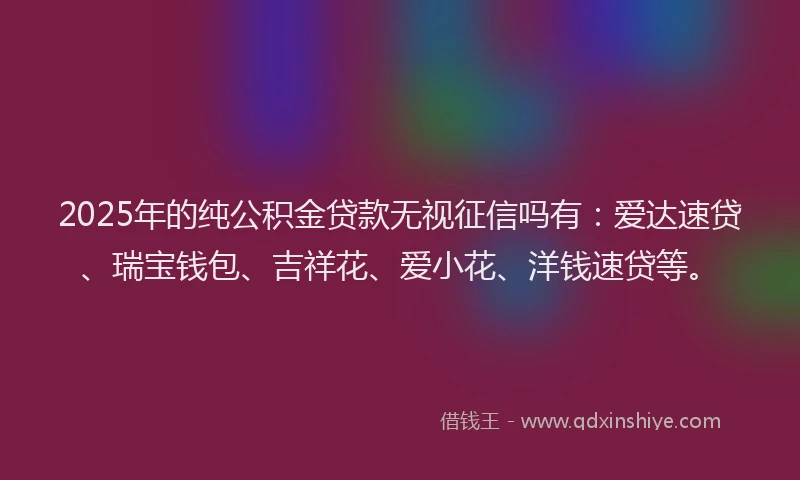 2025年的纯公积金贷款无视征信吗有：爱达速贷、瑞宝钱包、吉祥花、爱小花、洋钱速贷等。
