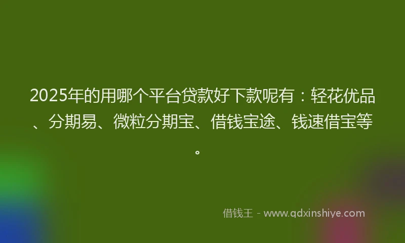 2025年的用哪个平台贷款好下款呢有：轻花优品、分期易、微粒分期宝、借钱宝途、钱速借宝等。