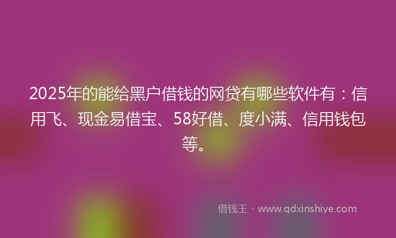 2025年的能给黑户借钱的网贷有哪些软件有：信用飞、现金易借宝、58好借、度小满、信用钱包等。