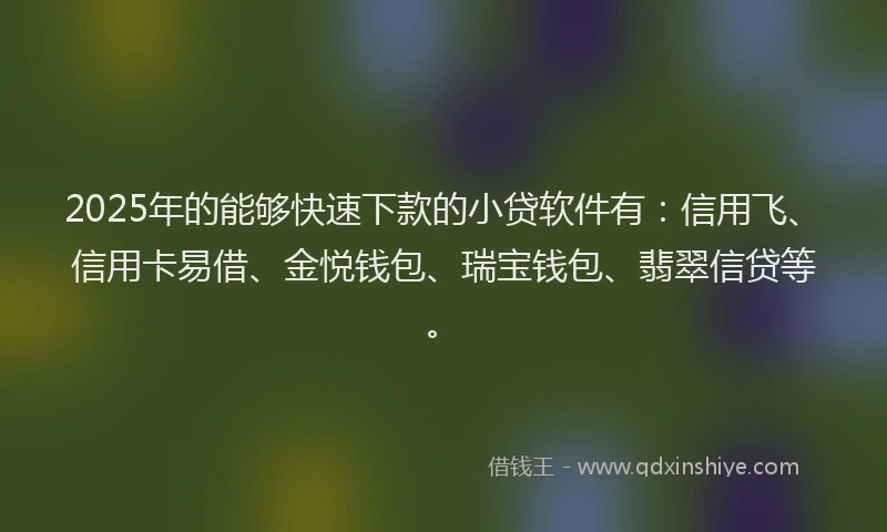 2025年的能够快速下款的小贷软件有:信用飞、信用卡易借、金悦钱包、瑞宝钱包、翡翠信贷等。