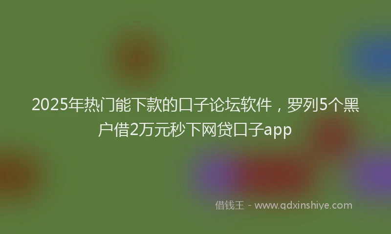 2025年热门能下款的口子论坛软件,罗列5个黑户借2万元秒下网贷口子app