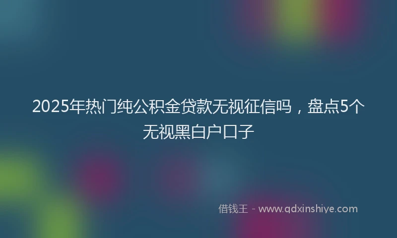 2025年热门纯公积金贷款无视征信吗，盘点5个无视黑白户口子