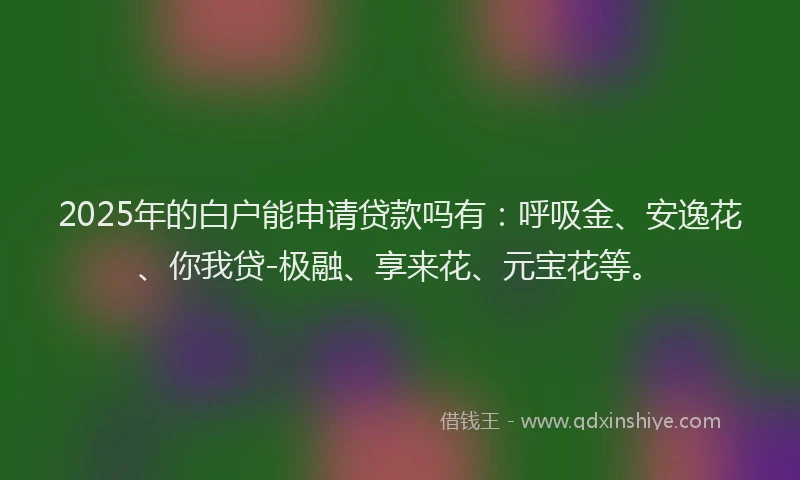 2025年的白户能申请贷款吗有：呼吸金、安逸花、你我贷-极融、享来花、元宝花等。