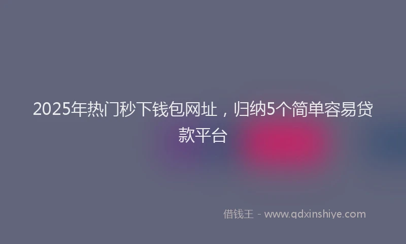2025年热门秒下钱包网址，归纳5个简单容易贷款平台