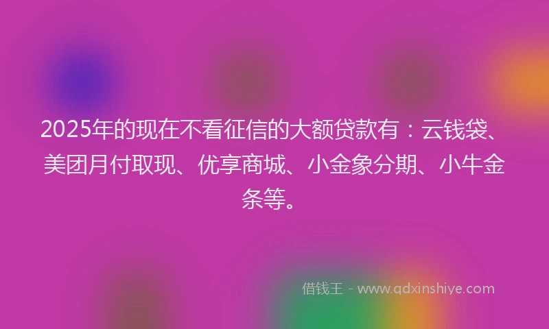 2025年的现在不看征信的大额贷款有:云钱袋、美团月付取现、优享商城、小金象分期、小牛金条等。