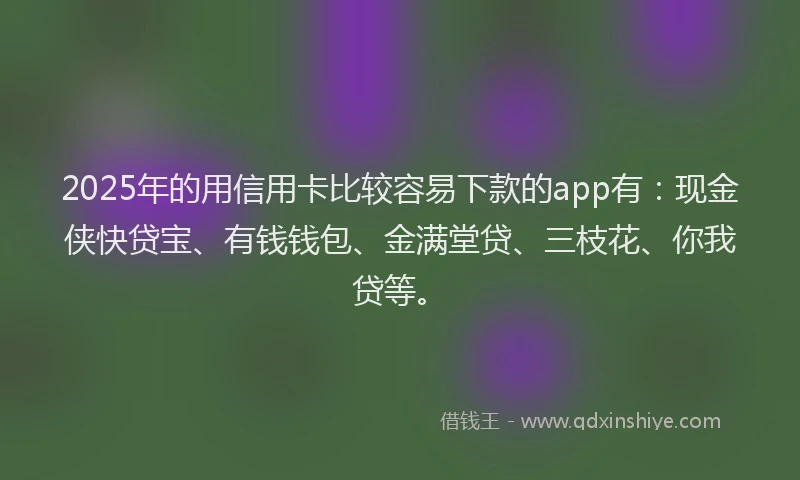 2025年的用信用卡比较容易下款的app有：现金侠快贷宝、有钱钱包、金满堂贷、三枝花、你我贷等。