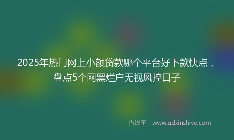 2025年热门网上小额贷款哪个平台好下款快点，盘点5个网黑烂户无视风控口子