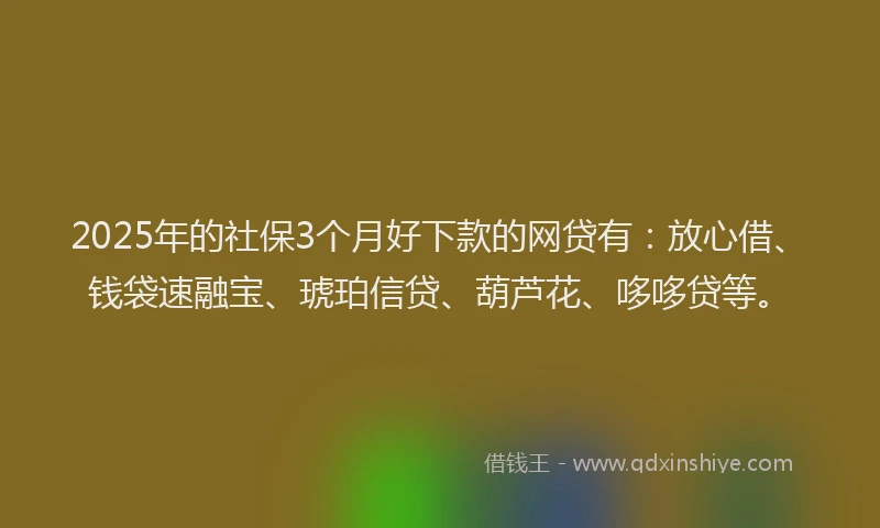 2025年的社保3个月好下款的网贷有：放心借、钱袋速融宝、琥珀信贷、葫芦花、哆哆贷等。