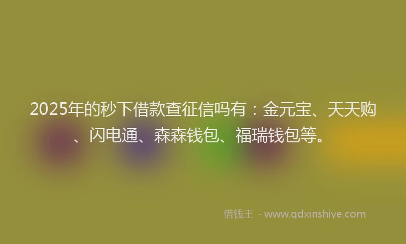 2025年的秒下借款查征信吗有:金元宝、天天购、闪电通、森森钱包、福瑞钱包等。