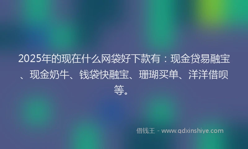 2025年的现在什么网袋好下款有:现金贷易融宝、现金奶牛、钱袋快融宝、珊瑚买单、洋洋借呗等。