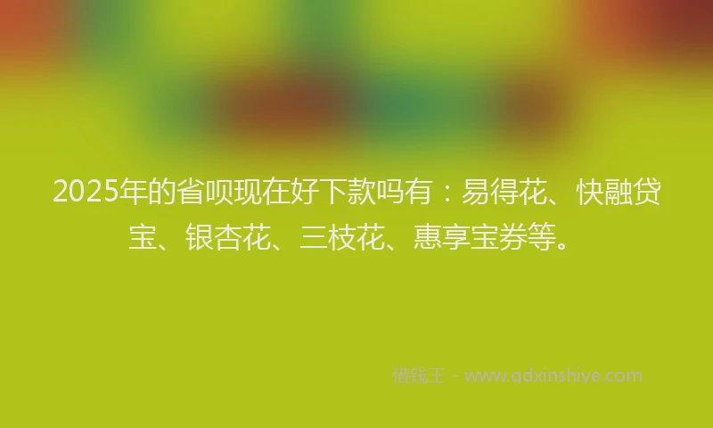 2025年的省呗现在好下款吗有：易得花、快融贷宝、银杏花、三枝花、惠享宝券等。