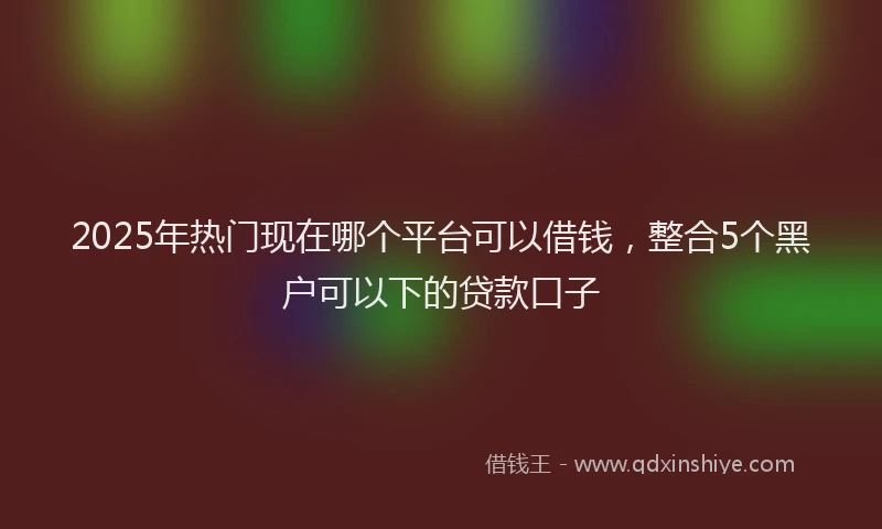 2025年热门现在哪个平台可以借钱，整合5个黑户可以下的贷款口子