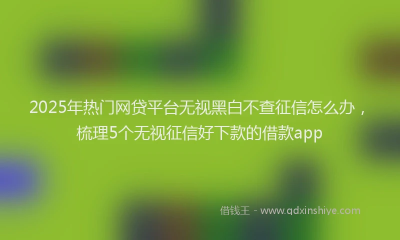 2025年热门网贷平台无视黑白不查征信怎么办，梳理5个无视征信好下款的借款app