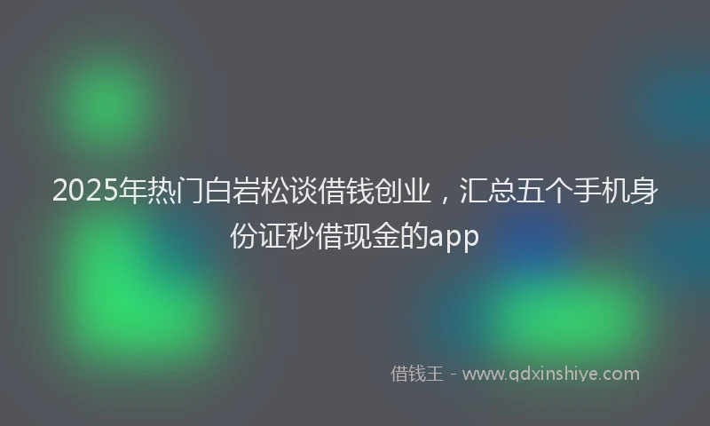 2025年热门白岩松谈借钱创业，汇总五个手机身份证秒借现金的app