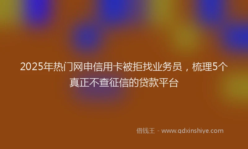 2025年热门网申信用卡被拒找业务员,梳理5个真正不查征信的贷款平台