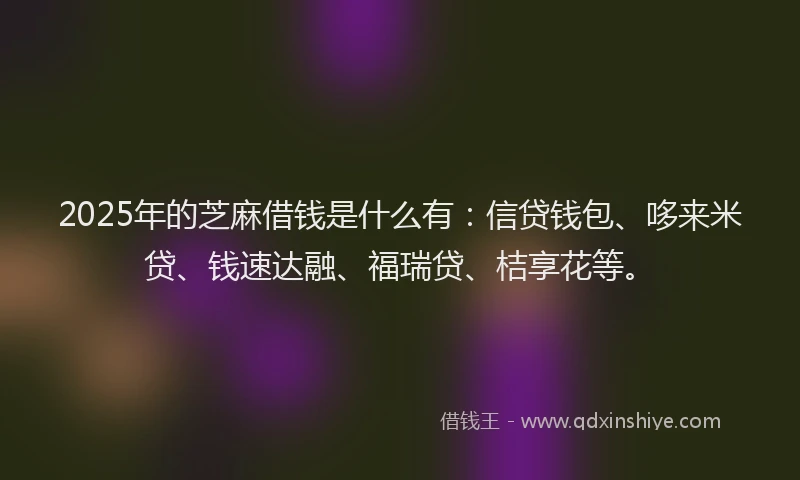 2025年的芝麻借钱是什么有:信贷钱包、哆来米贷、钱速达融、福瑞贷、桔享花等。