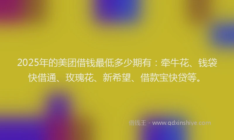 2025年的美团借钱最低多少期有:牵牛花、钱袋快借通、玫瑰花、新希望、借款宝快贷等。
