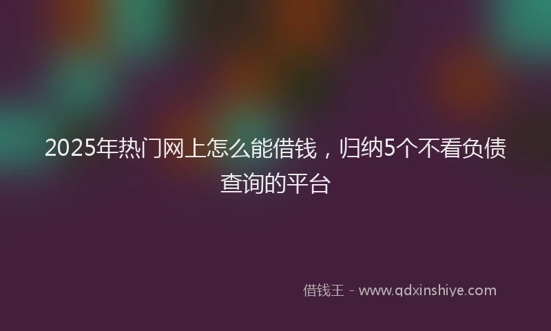 2025年热门网上怎么能借钱，归纳5个不看负债查询的平台