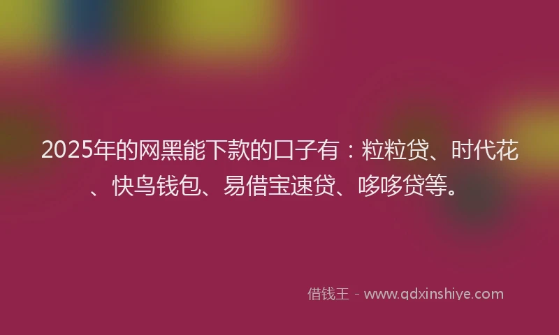 2025年的网黑能下款的口子有：粒粒贷、时代花、快鸟钱包、易借宝速贷、哆哆贷等。