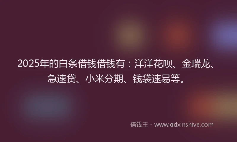2025年的白条借钱借钱有：洋洋花呗、金瑞龙、急速贷、小米分期、钱袋速易等。