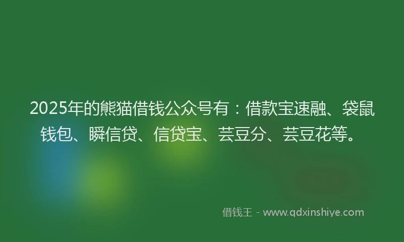 2025年的熊猫借钱公众号有：借款宝速融、袋鼠钱包、瞬信贷、信贷宝、芸豆分、芸豆花等。