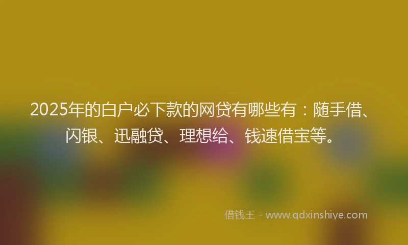 2025年的白户必下款的网贷有哪些有：随手借、闪银、迅融贷、理想给、钱速借宝等。