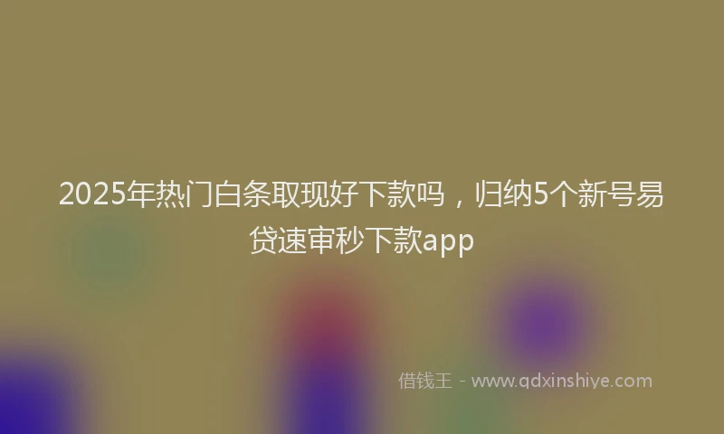 2025年热门白条取现好下款吗,归纳5个新号易贷速审秒下款app