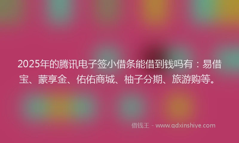 2025年的腾讯电子签小借条能借到钱吗有：易借宝、蒙享金、佑佑商城、柚子分期、旅游购等。