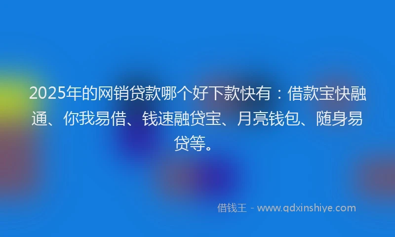 2025年的网销贷款哪个好下款快有：借款宝快融通、你我易借、钱速融贷宝、月亮钱包、随身易贷等。