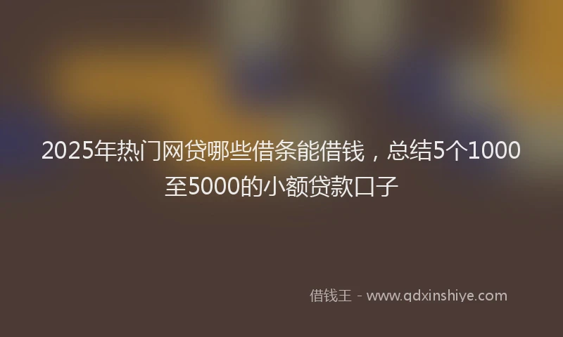 2025年热门网贷哪些借条能借钱，总结5个1000至5000的小额贷款口子