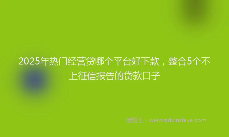 2025年热门经营贷哪个平台好下款,整合5个不上征信报告的贷款口子