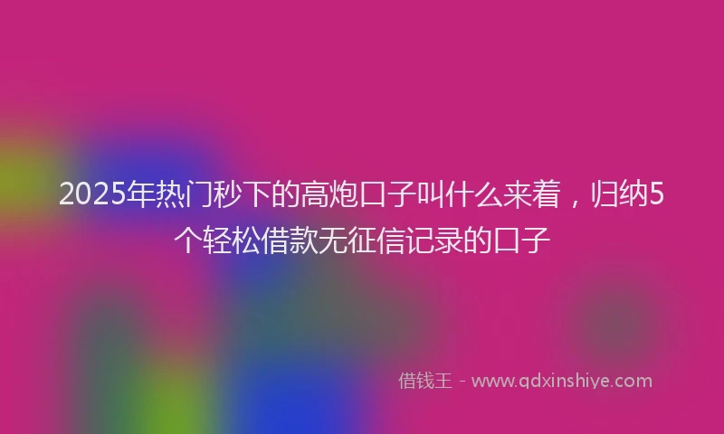 2025年热门秒下的高炮口子叫什么来着，归纳5个轻松借款无征信记录的口子