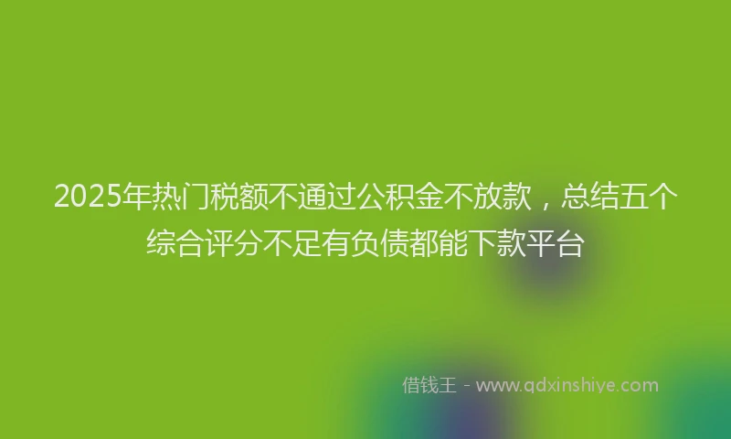 2025年热门税额不通过公积金不放款，总结五个综合评分不足有负债都能下款平台