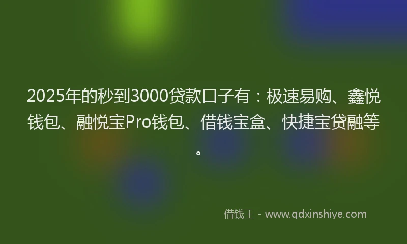 2025年的秒到3000贷款口子有：极速易购、鑫悦钱包、融悦宝Pro钱包、借钱宝盒、快捷宝贷融等。