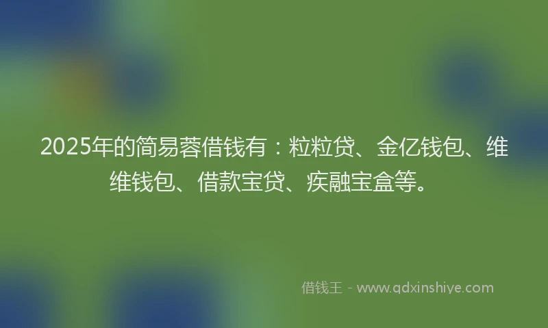 2025年的简易蓉借钱有:粒粒贷、金亿钱包、维维钱包、借款宝贷、疾融宝盒等。