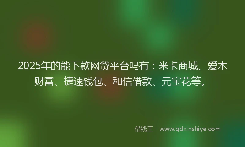 2025年的能下款网贷平台吗有：米卡商城、爱木财富、捷速钱包、和信借款、元宝花等。