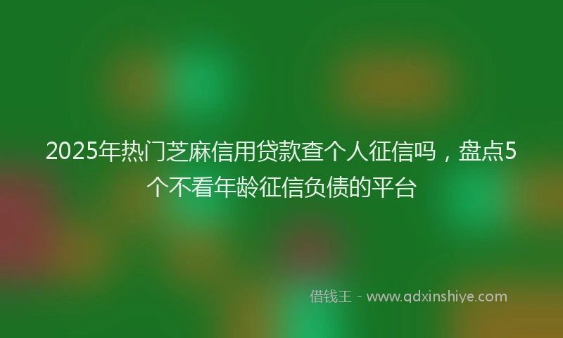 2025年热门芝麻信用贷款查个人征信吗，盘点5个不看年龄征信负债的平台