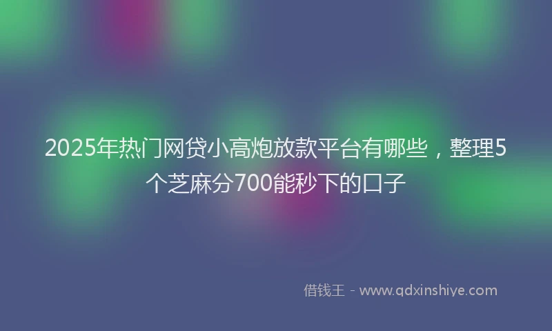 2025年热门网贷小高炮放款平台有哪些，整理5个芝麻分700能秒下的口子