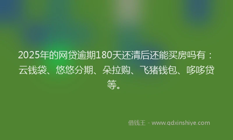 2025年的网贷逾期180天还清后还能买房吗有：云钱袋、悠悠分期、朵拉购、飞猪钱包、哆哆贷等。