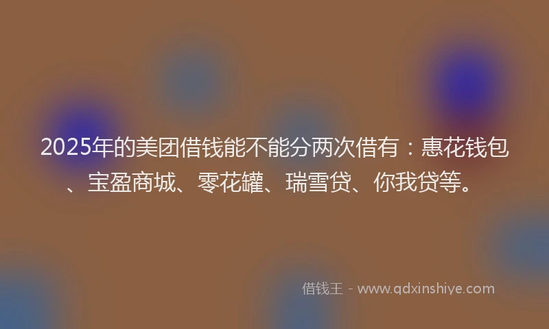 2025年的美团借钱能不能分两次借有：惠花钱包、宝盈商城、零花罐、瑞雪贷、你我贷等。