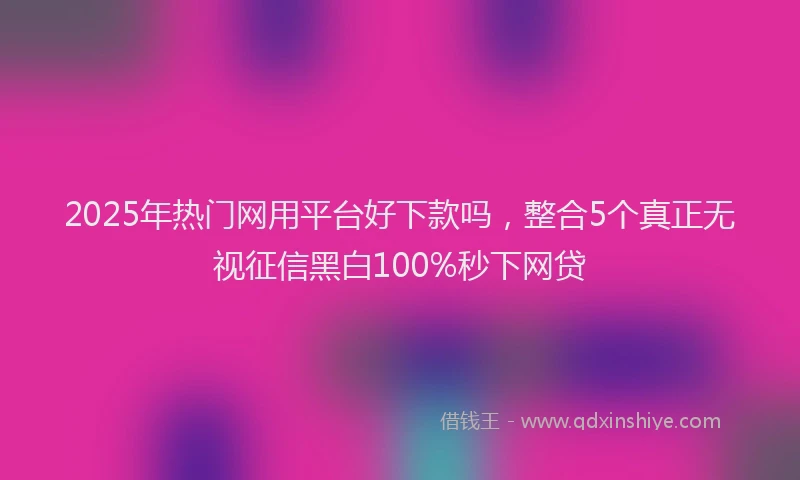 2025年热门网用平台好下款吗，整合5个真正无视征信黑白100%秒下网贷