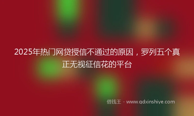 2025年热门网贷授信不通过的原因，罗列五个真正无视征信花的平台