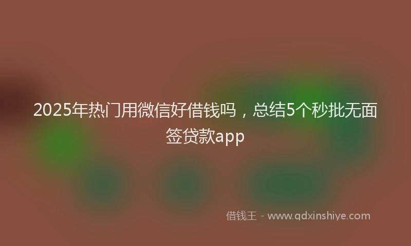 2025年热门用微信好借钱吗，总结5个秒批无面签贷款app