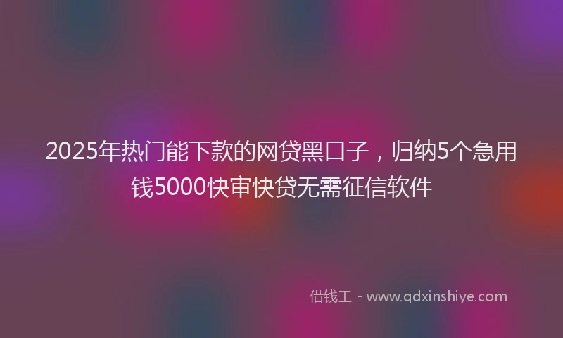 2025年热门能下款的网贷黑口子，归纳5个急用钱5000快审快贷无需征信软件