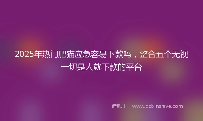 2025年热门肥猫应急容易下款吗,整合五个无视一切是人就下款的平台