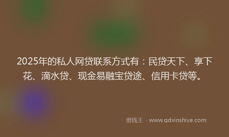 2025年的私人网贷联系方式有:民贷天下、享下花、滴水贷、现金易融宝贷途、信用卡贷等。